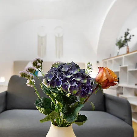 Apartmán Schoenauer Hof - Paula *