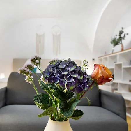 Apartment Schoenauer Hof - Paula Passau